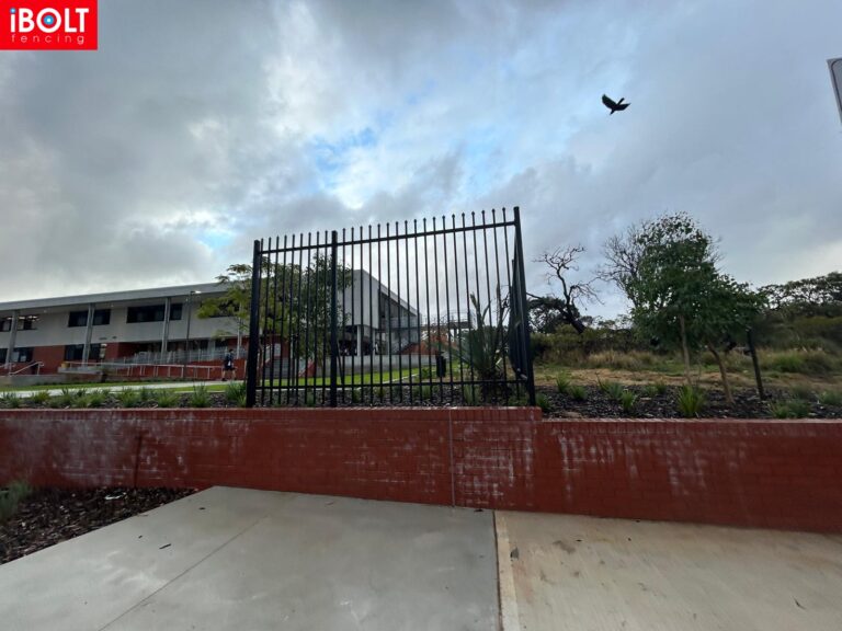 WhatsApp Image 2025 10 30 at 16.02.54 76b73254 1