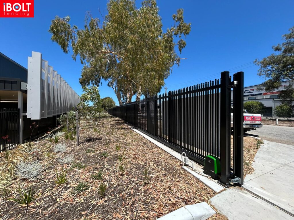 WhatsApp Image 2025 12 23 at 9.04.21 AM