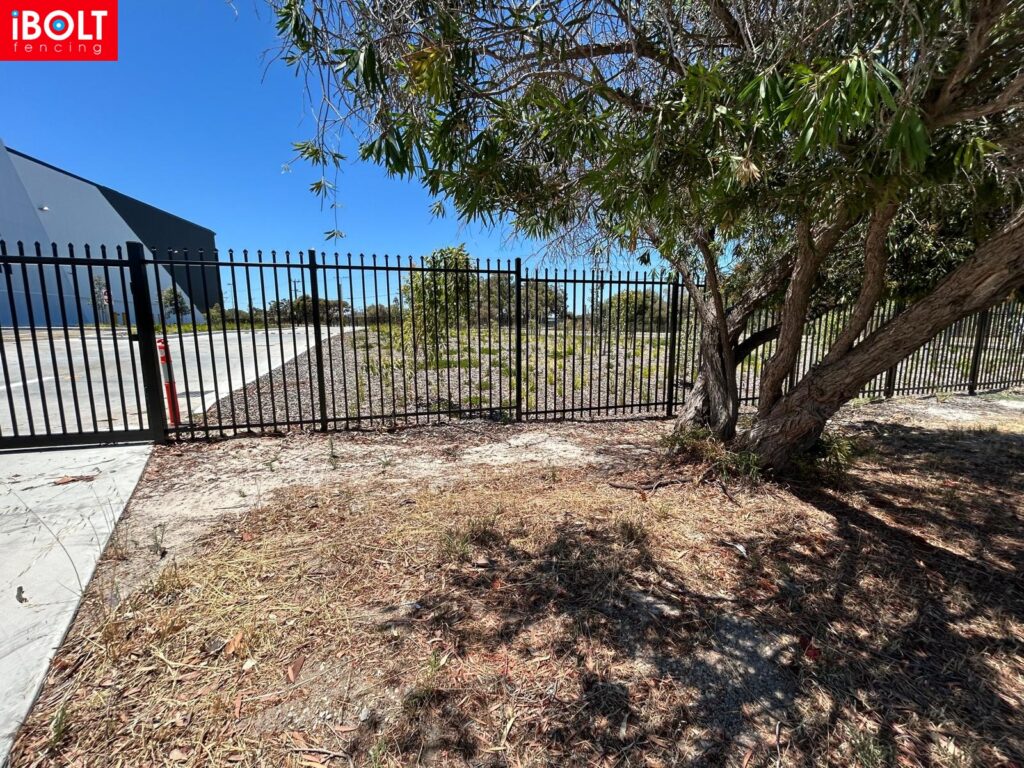 WhatsApp Image 2025 12 23 at 9.04.21 AM 8