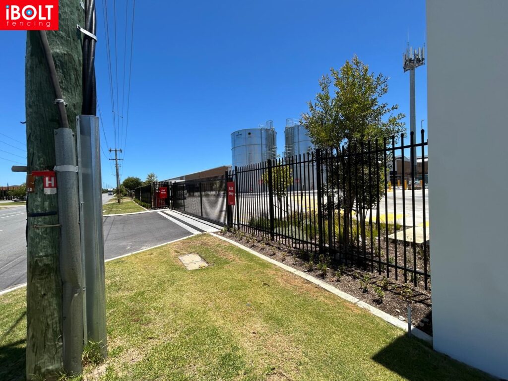 WhatsApp Image 2025 12 23 at 9.30.27 AM 1