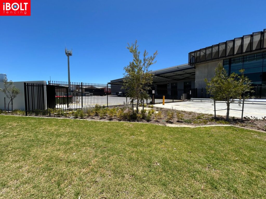 WhatsApp Image 2025 12 23 at 9.30.27 AM