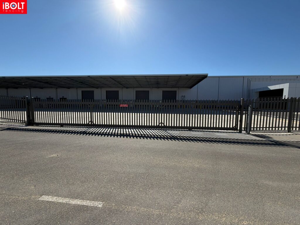 WhatsApp Image 2026 01 06 at 6.05.27 AM 1