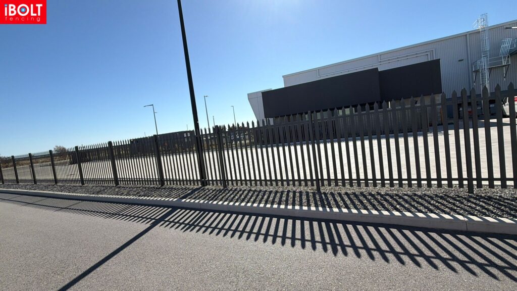 WhatsApp Image 2026 01 06 at 6.05.27 AM