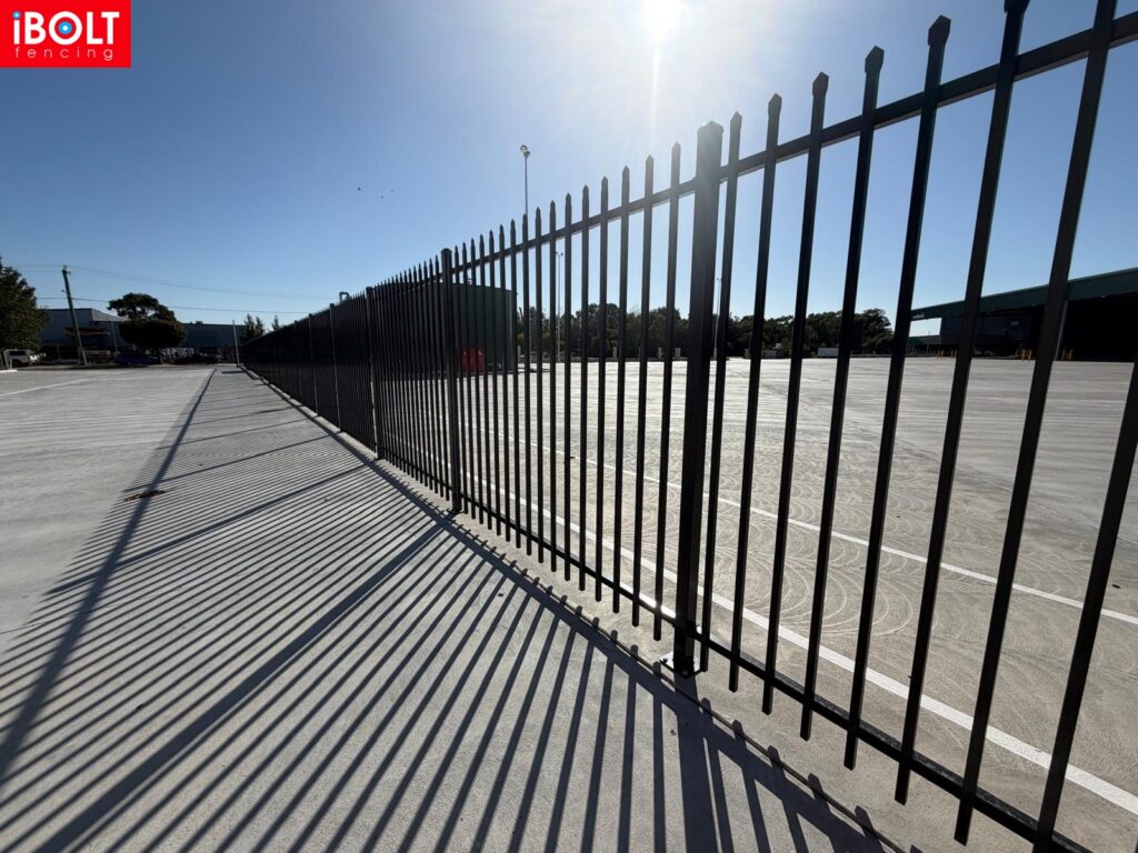 WhatsApp Image 2026 01 28 at 6.09.41 AM 10