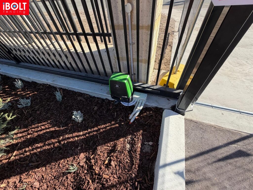 WhatsApp Image 2026 01 28 at 6.09.41 AM