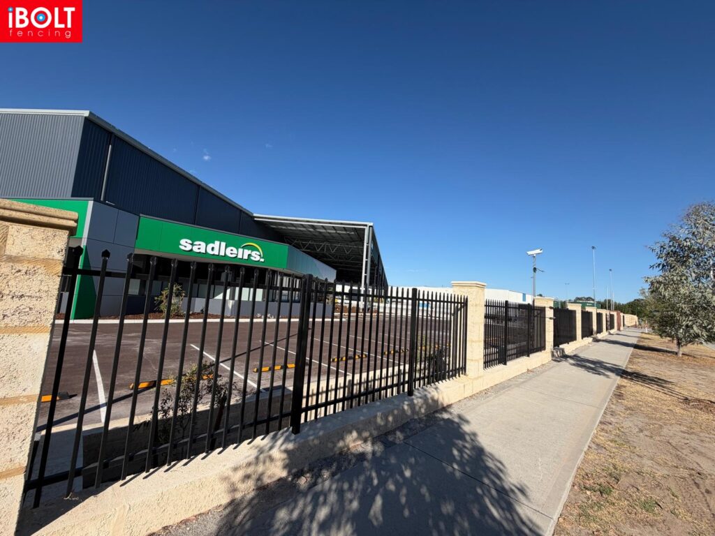 WhatsApp Image 2026 01 28 at 6.09.41 AM 2