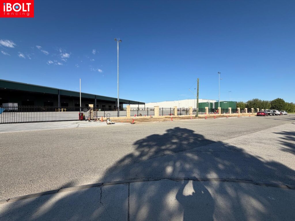 WhatsApp Image 2026 01 28 at 6.09.41 AM 6