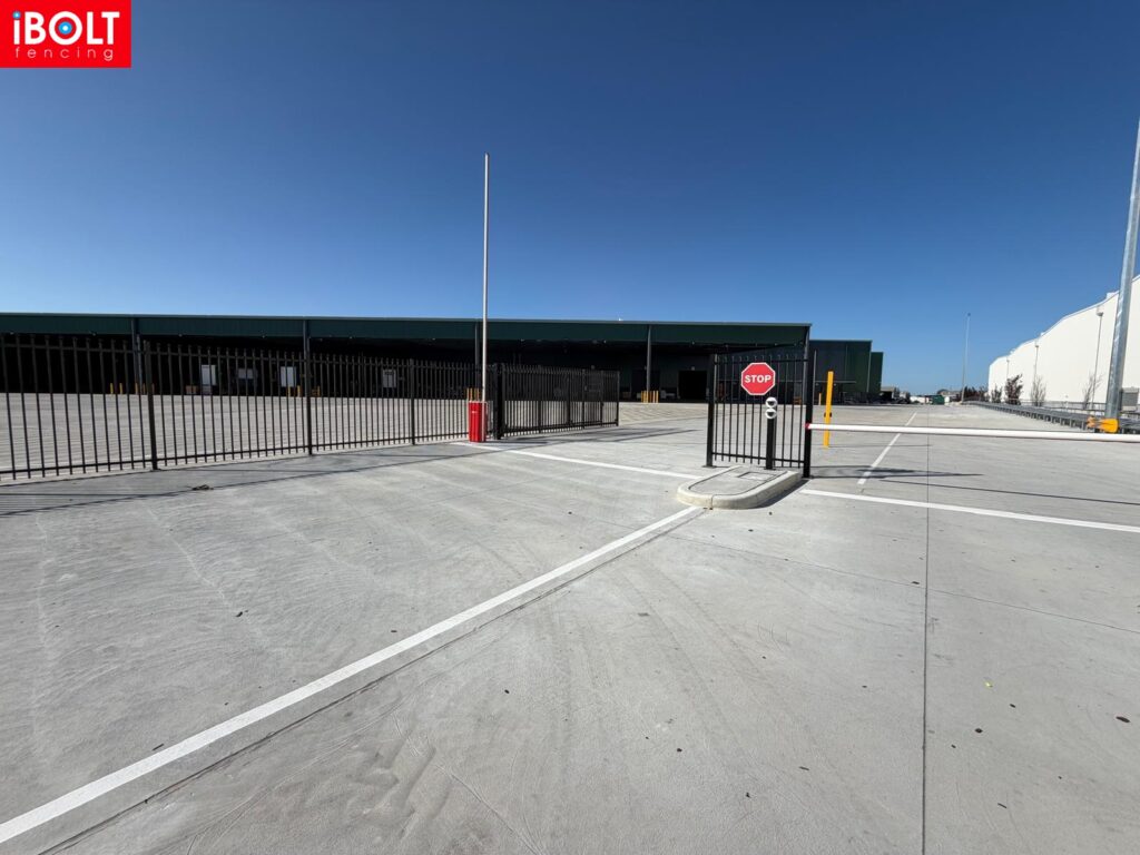 WhatsApp Image 2026 01 28 at 6.09.41 AM 8