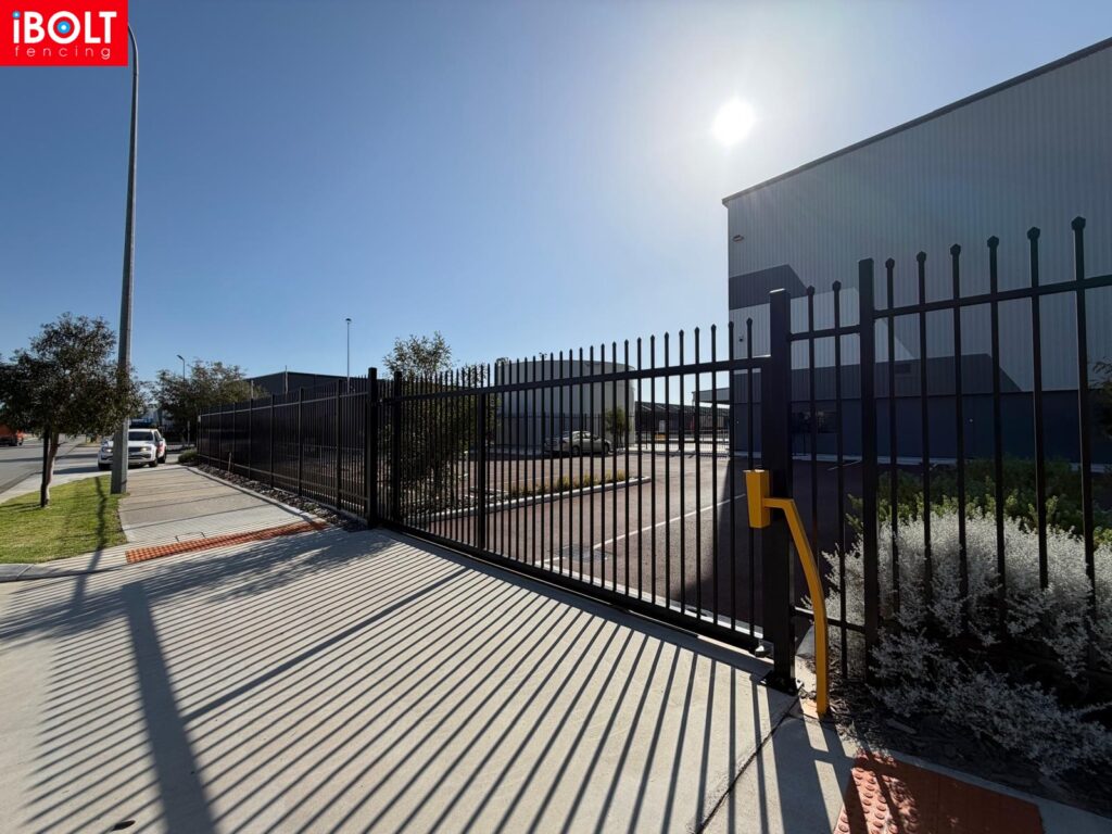 WhatsApp Image 2026 01 28 at 6.11.5 AM 1