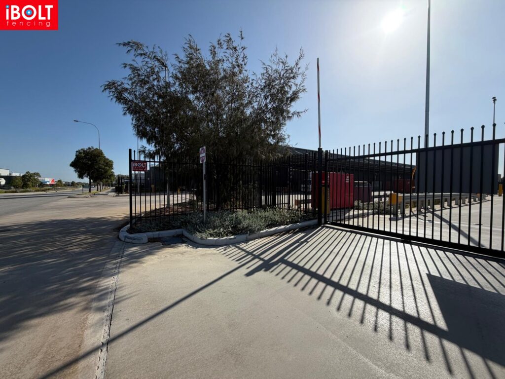 WhatsApp Image 2026 01 28 at 6.11.50 AM 1