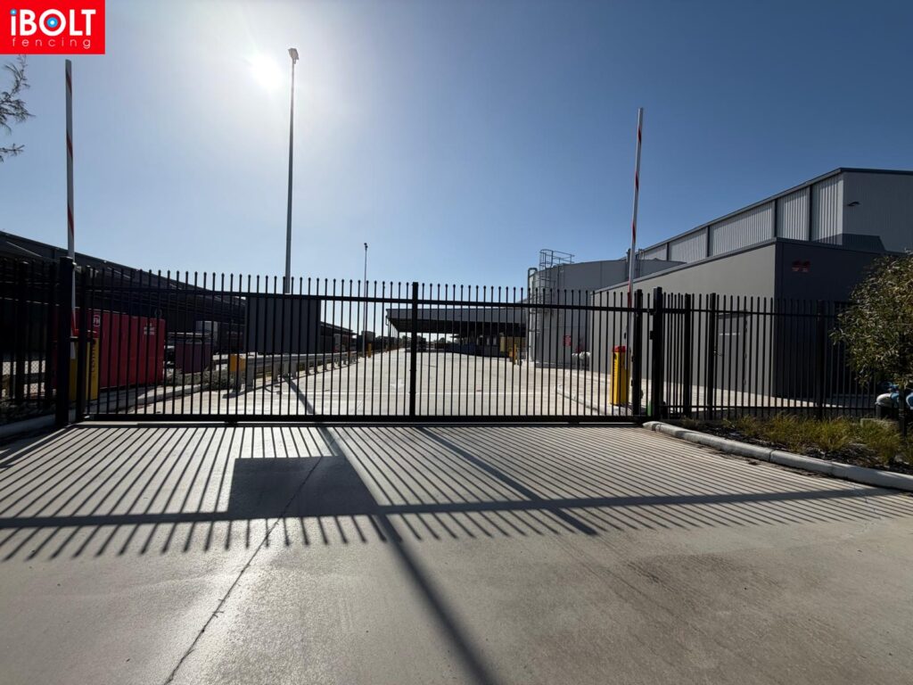 WhatsApp Image 2026 01 28 at 6.11.50 AM