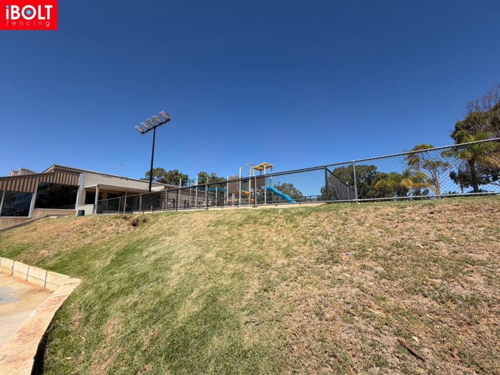 WhatsApp Image 2026 02 12 at 11.29.14 AMs