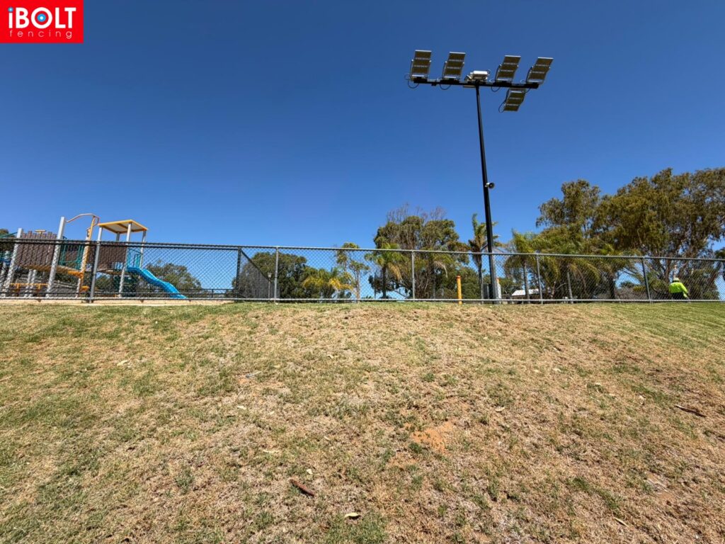 WhatsApp Image 2026 02 12 at 11.29.15 AM