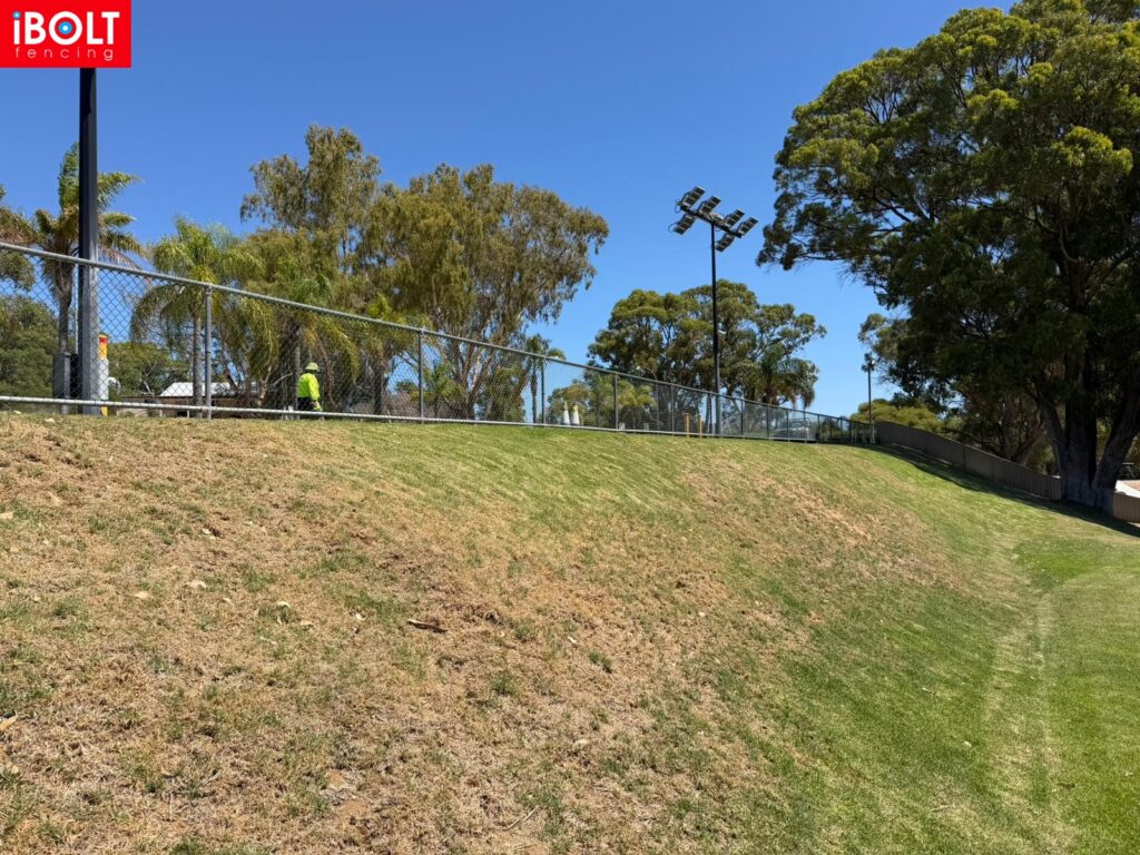 WhatsApp Image 2026 02 12 at 11.29.15 AMc