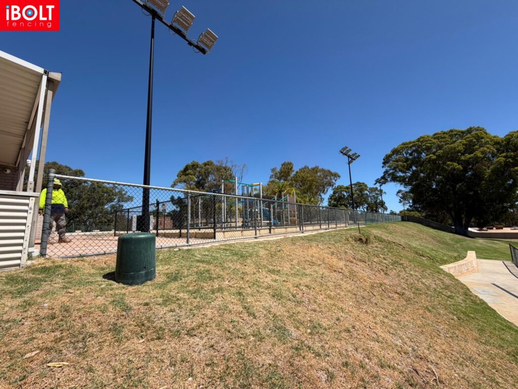 WhatsApp Image 2026 02 12 at 11.29.40 AM