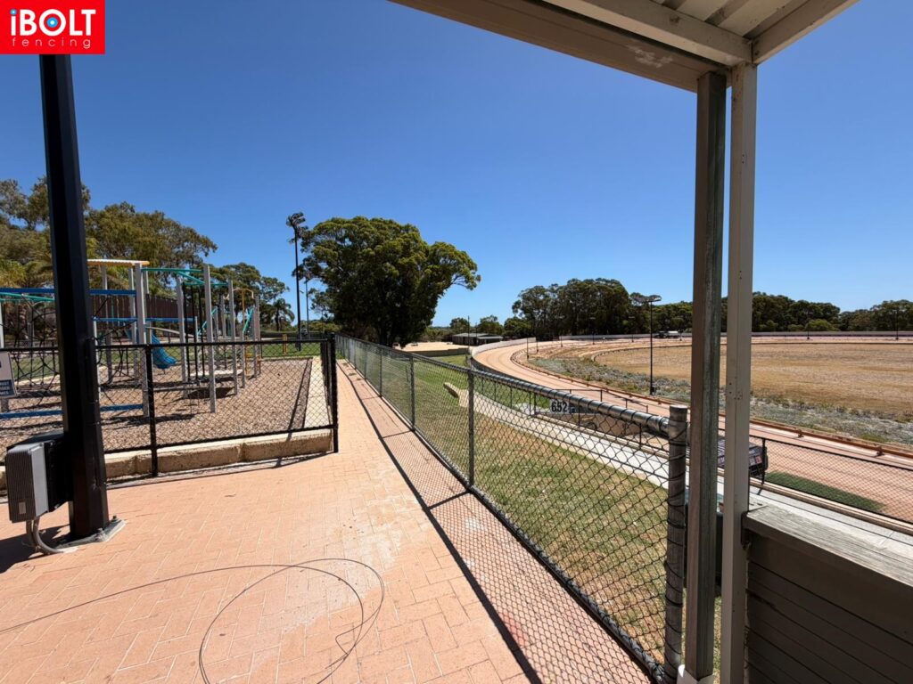 WhatsApp Image 2026 02 12 at 11.29.41 AMcx