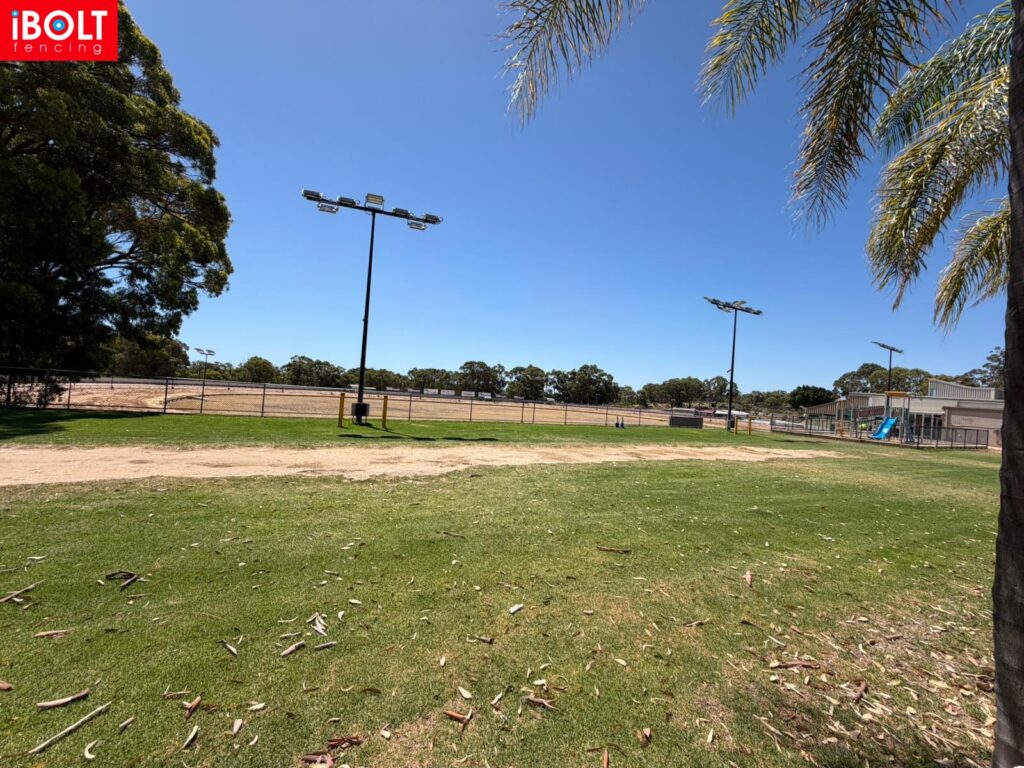 WhatsApp Image 2026 02 12 at 11.29.4c1 AM