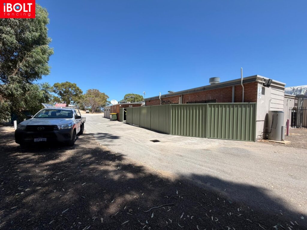 WhatsApp Image 2026 02 12 at 11.30.05 AM