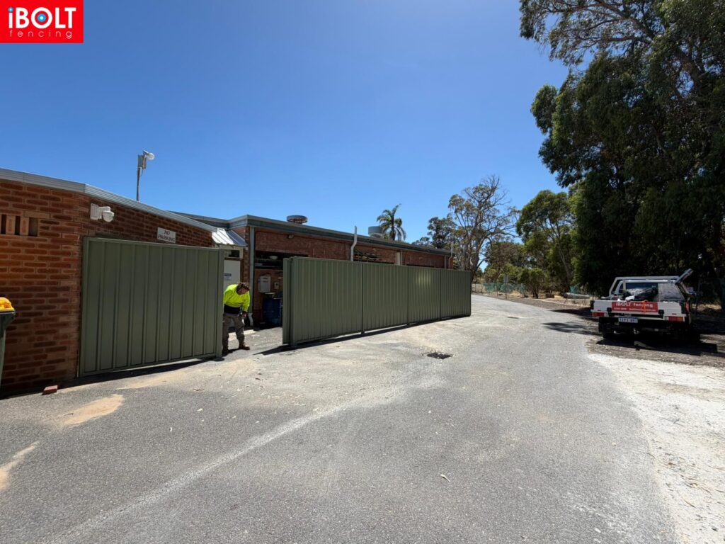 WhatsApp Image 2026 02 12 at 11.30.06 AM 1