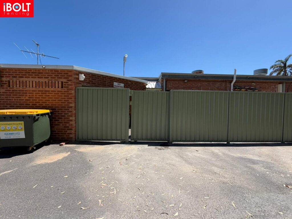 WhatsApp Image 2026 02 12 at 11.30.07 AM