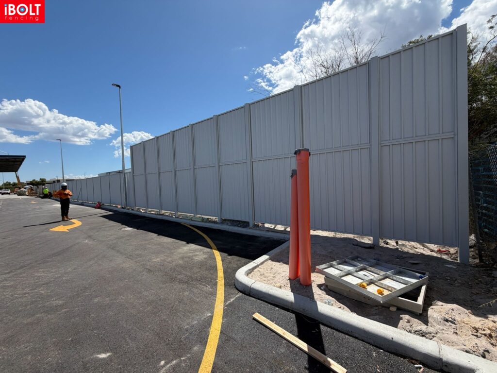 WhatsApp Image 2026 02 19 at 12.08.14 PM 1