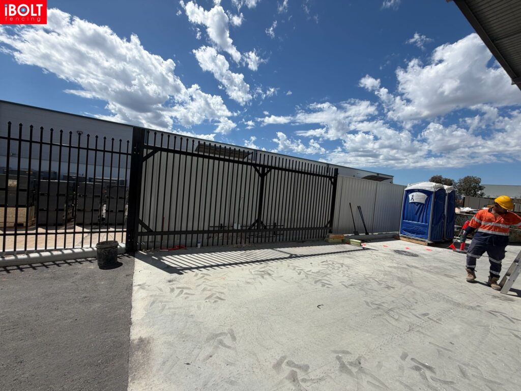 WhatsApp Image 2026 02 19 at 12.08.17 PM