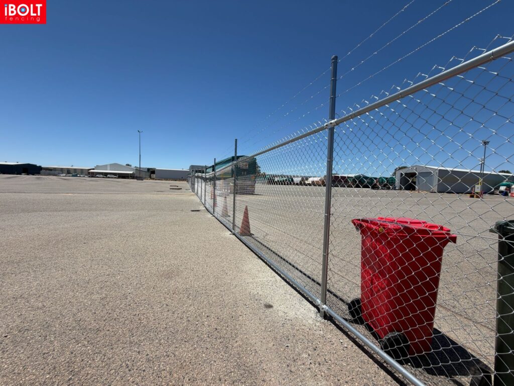 WhatsApp Image 2026 02 19 at 12.19.17 PM 1