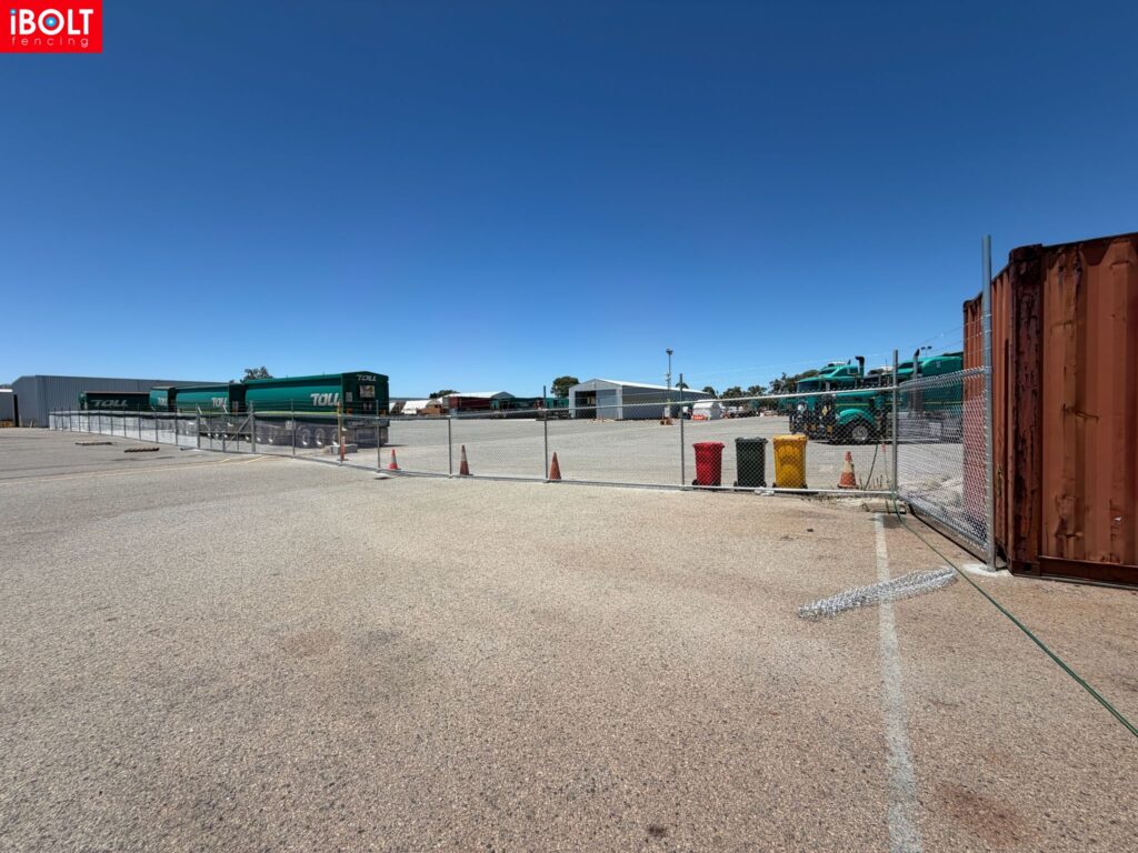 WhatsApp Image 2026 02 19 at 12.19.17 PM