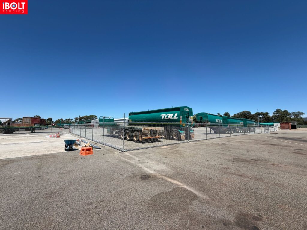 WhatsApp Image 2026 02 19 at 12.19.18 PM 1