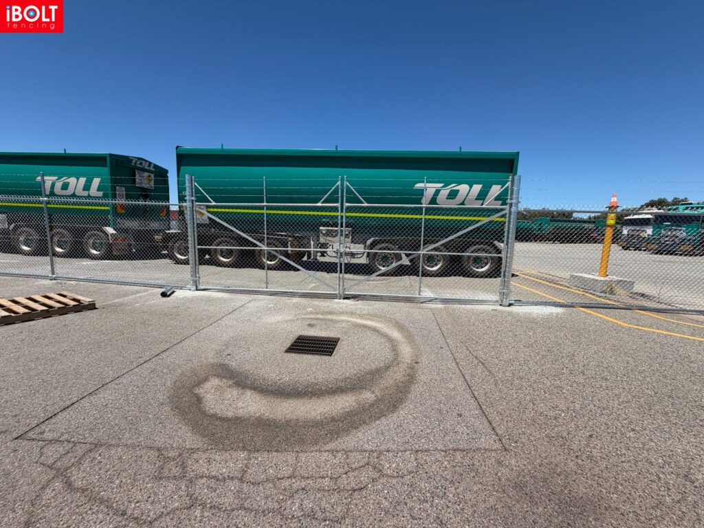 WhatsApp Image 2026 02 19 at 12.19.18 PM