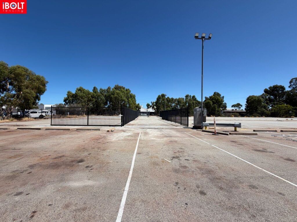 WhatsApp Image 2026 02 19 at 12.19.20 PM 1