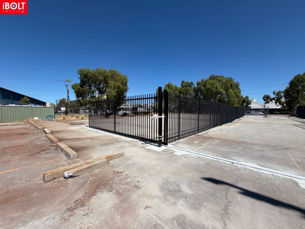 WhatsApp Image 2026 02 19 at 12.19.21 PM 1