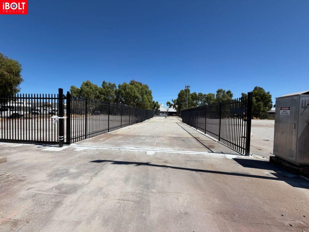 WhatsApp Image 2026 02 19 at 12.19.21 PM