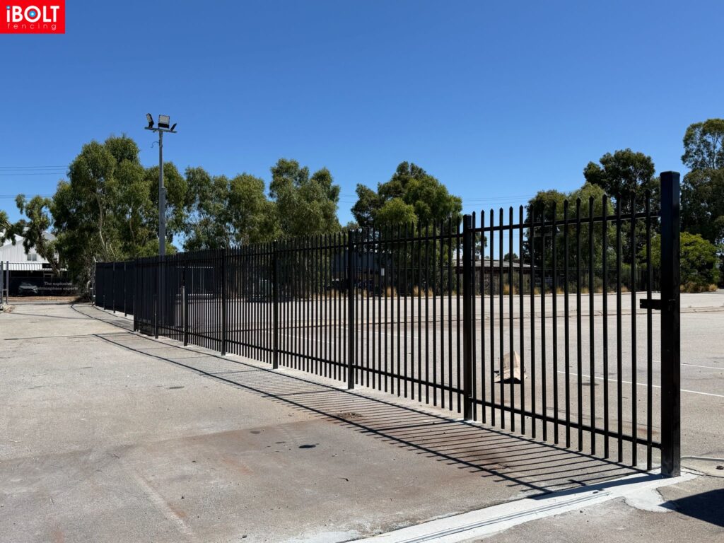 WhatsApp Image 2026 02 19 at 12.19.21 PM 2