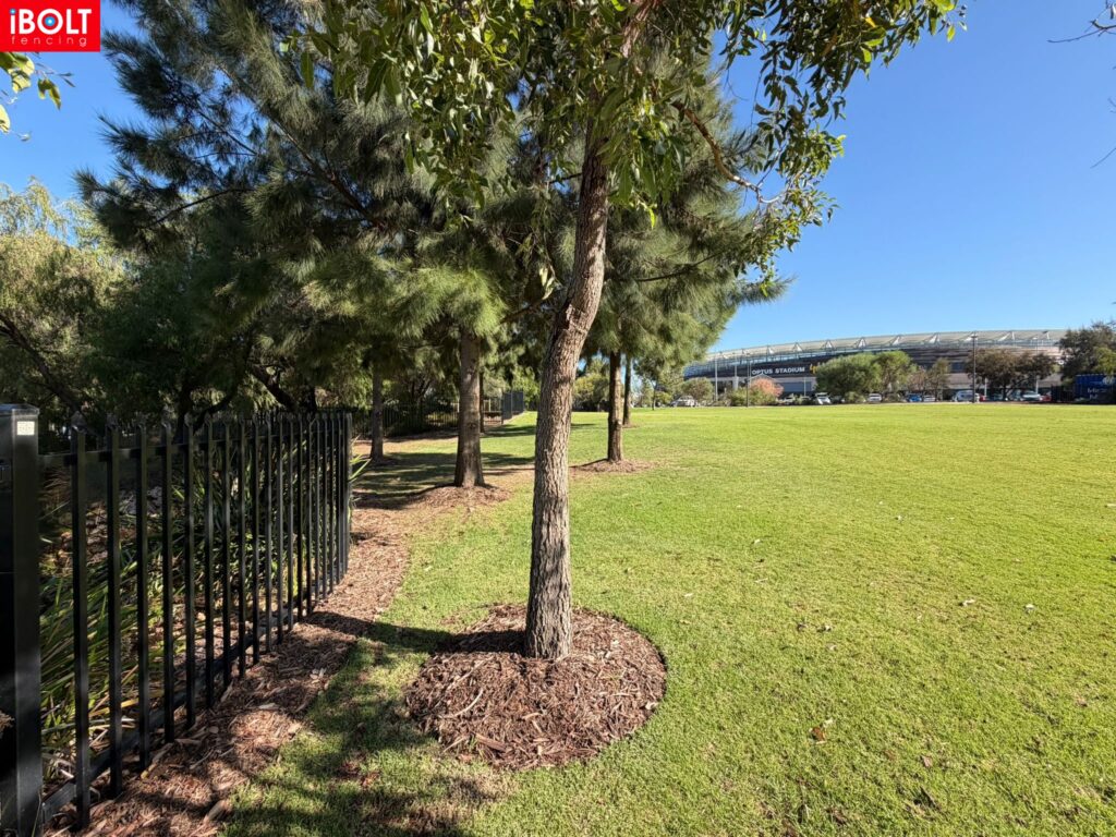 WhatsApp Image 2026 02 27 at 6.24.04 AM 1