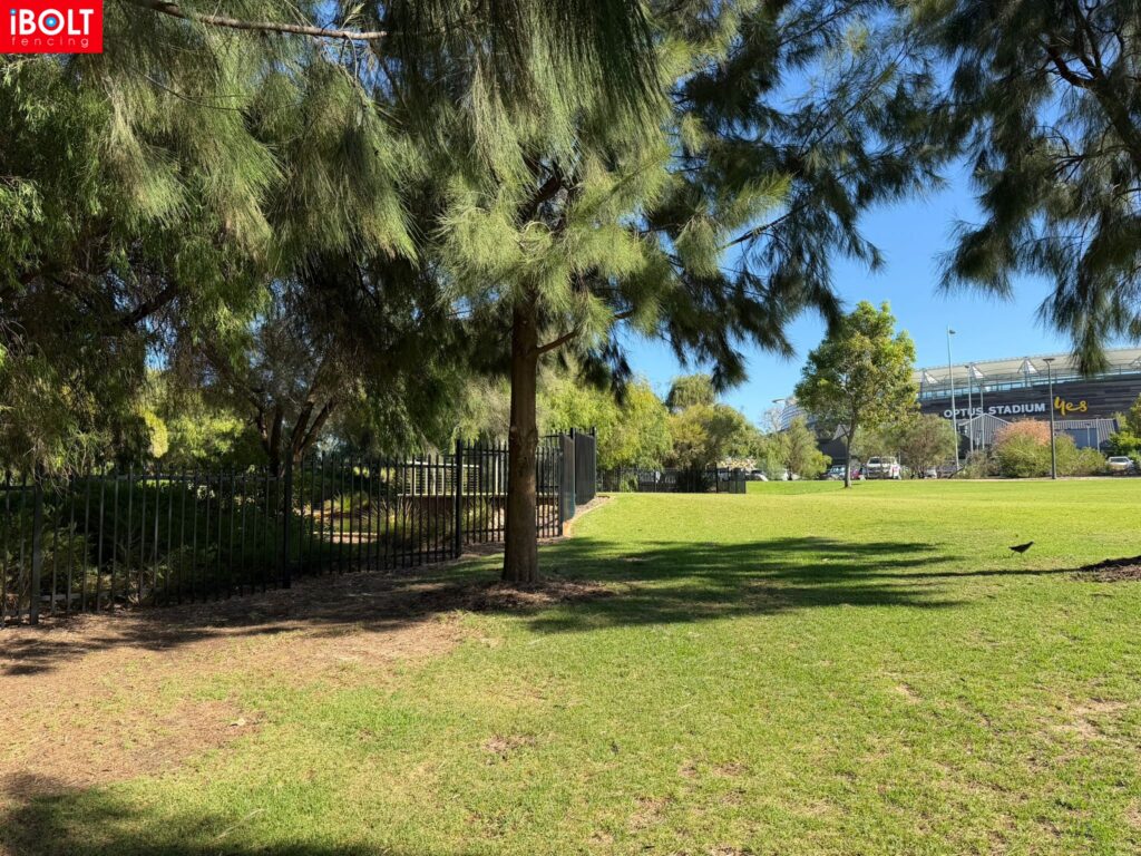 WhatsApp Image 2026 02 27 at 6.24.04 AM