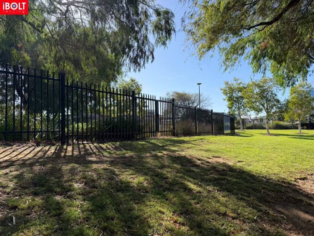 WhatsApp Image 2026 02 27 at 6.24.05 AM 1