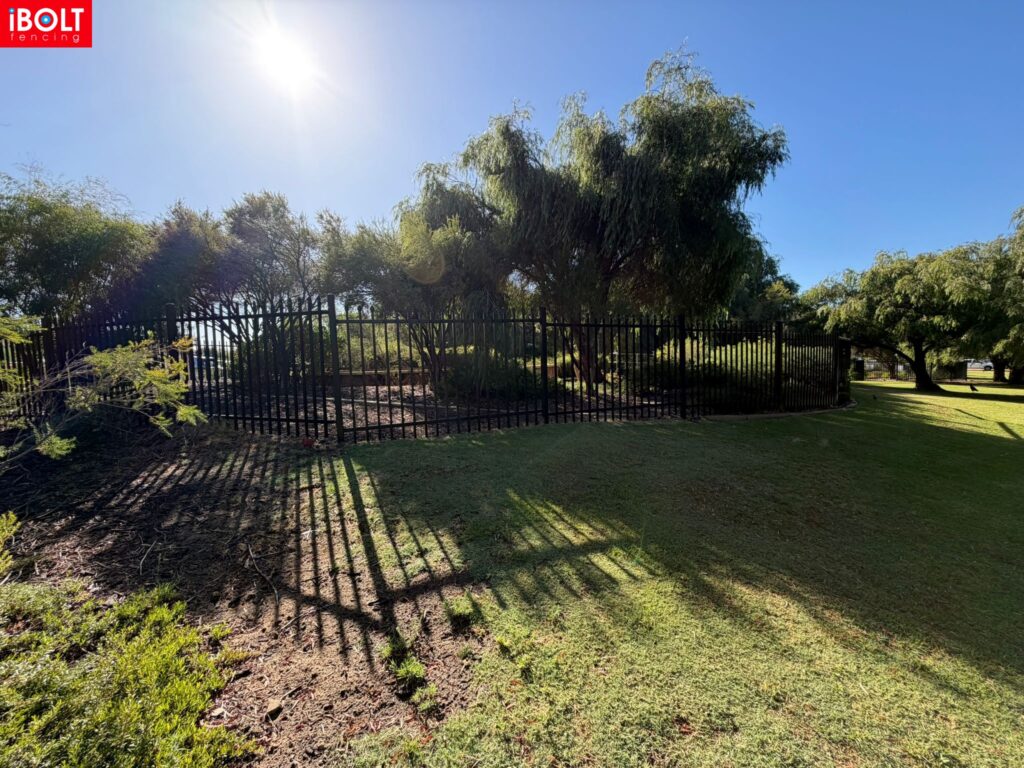 WhatsApp Image 2026 02 27 at 6.24.07 AM