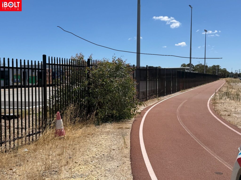 WhatsApp Image 2026 03 03 at 8.22.03 AM 1 1