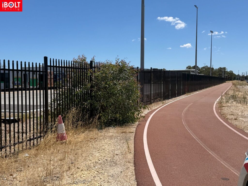 WhatsApp Image 2026 03 03 at 8.22.03 AM 3