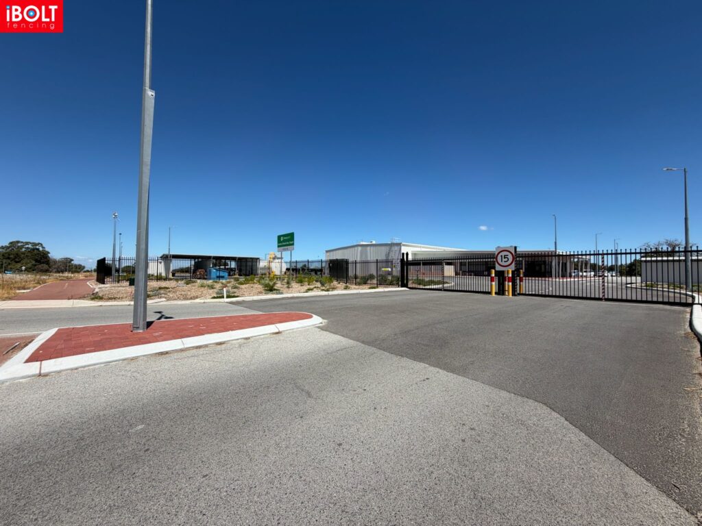 WhatsApp Image 2026 03 03 at 8.22.04 AM 1 1