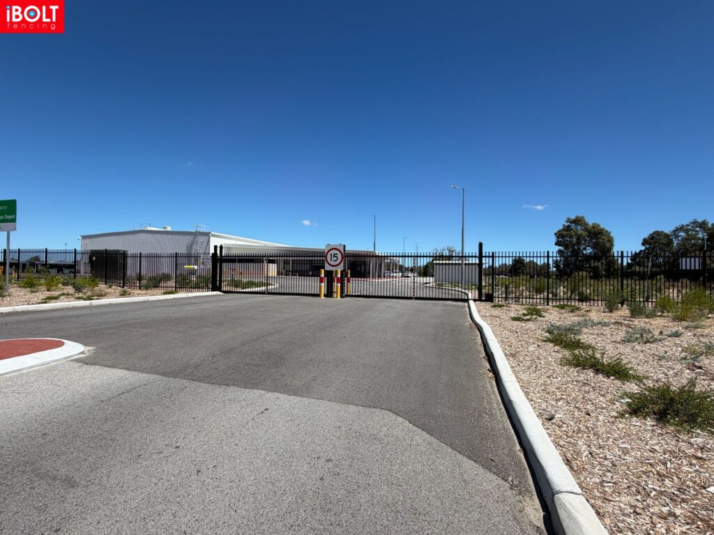 WhatsApp Image 2026 03 03 at 8.22.04 AM