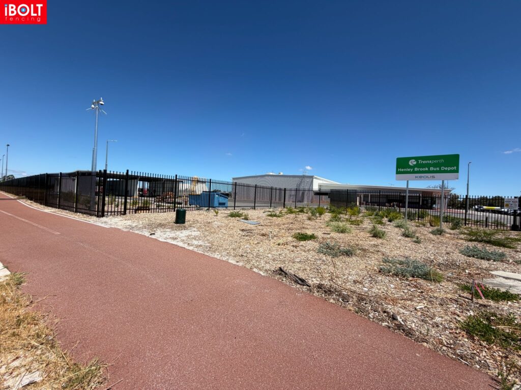 WhatsApp Image 2026 03 03 at 8.22.05 AM