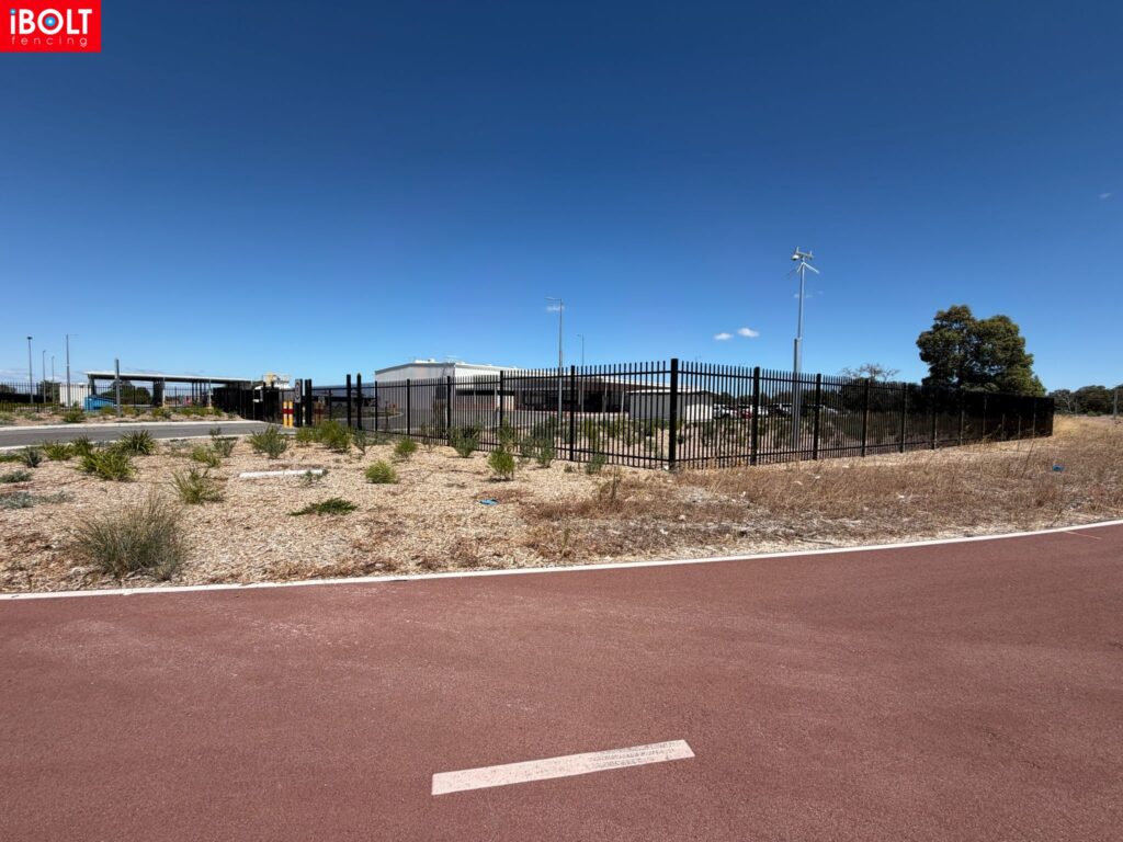 WhatsApp Image 2026 03 03 at 8.22.05 AM 2