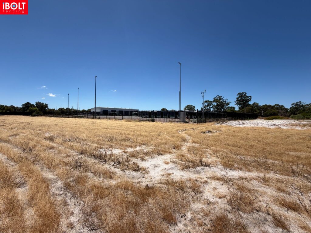 WhatsApp Image 2026 03 03 at 8.22.06 AM 1