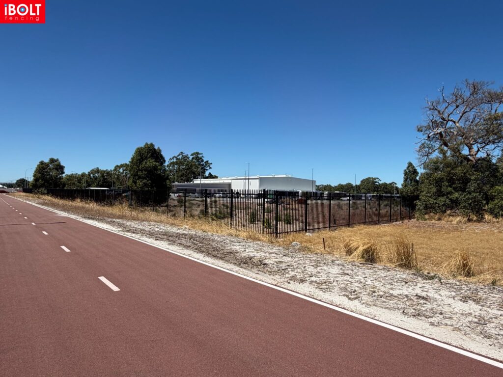 WhatsApp Image 2026 03 03 at 8.22.06 AM