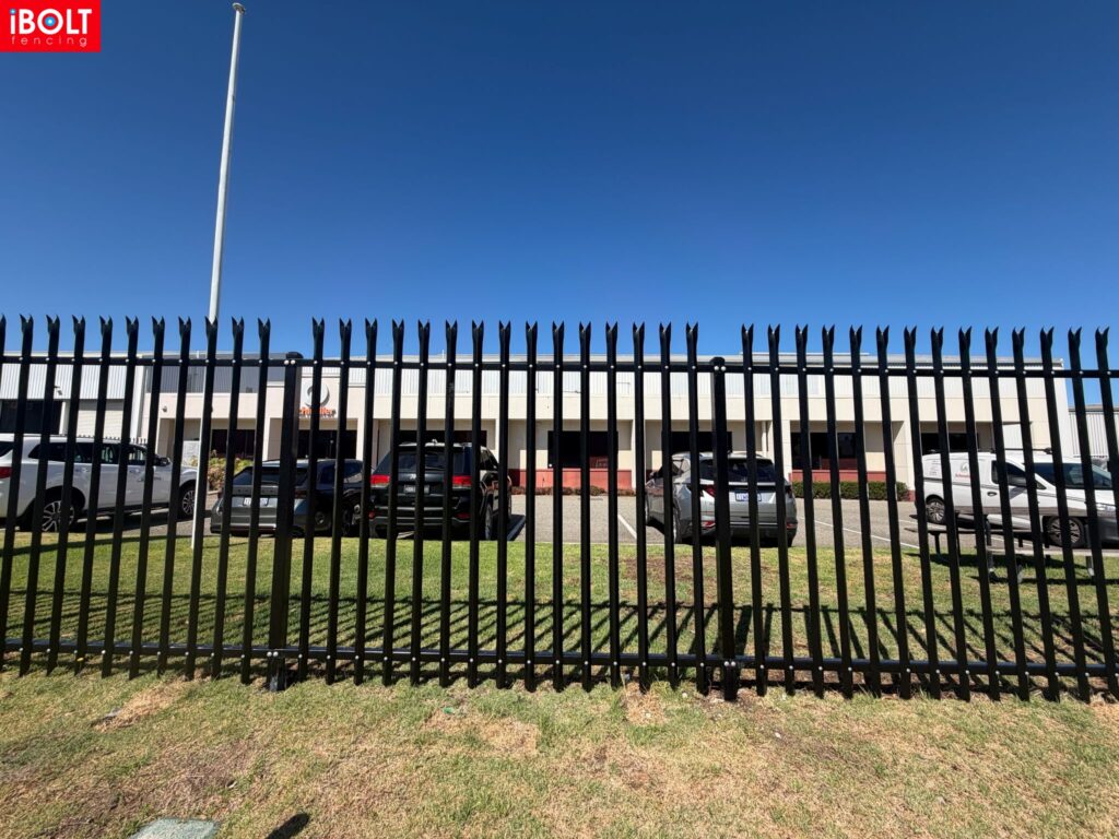 WhatsApp Image 2026 03 03 at 8.35.02 AM 3