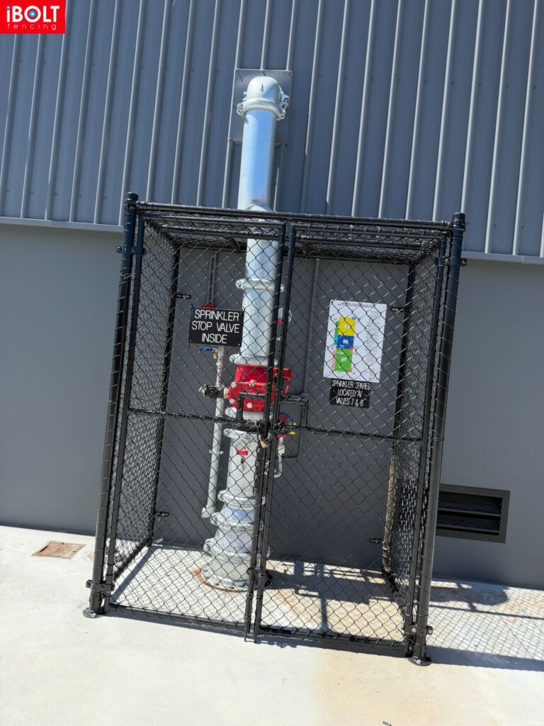 WhatsApp Image 2026 03 03 at 8.35.04 AM 1