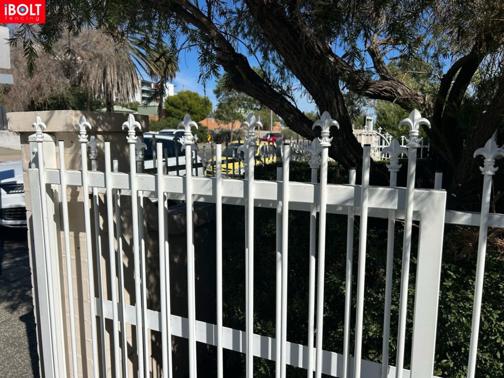 WhatsApp Image 2026 03 03 at 8.42.01 AM 1 1