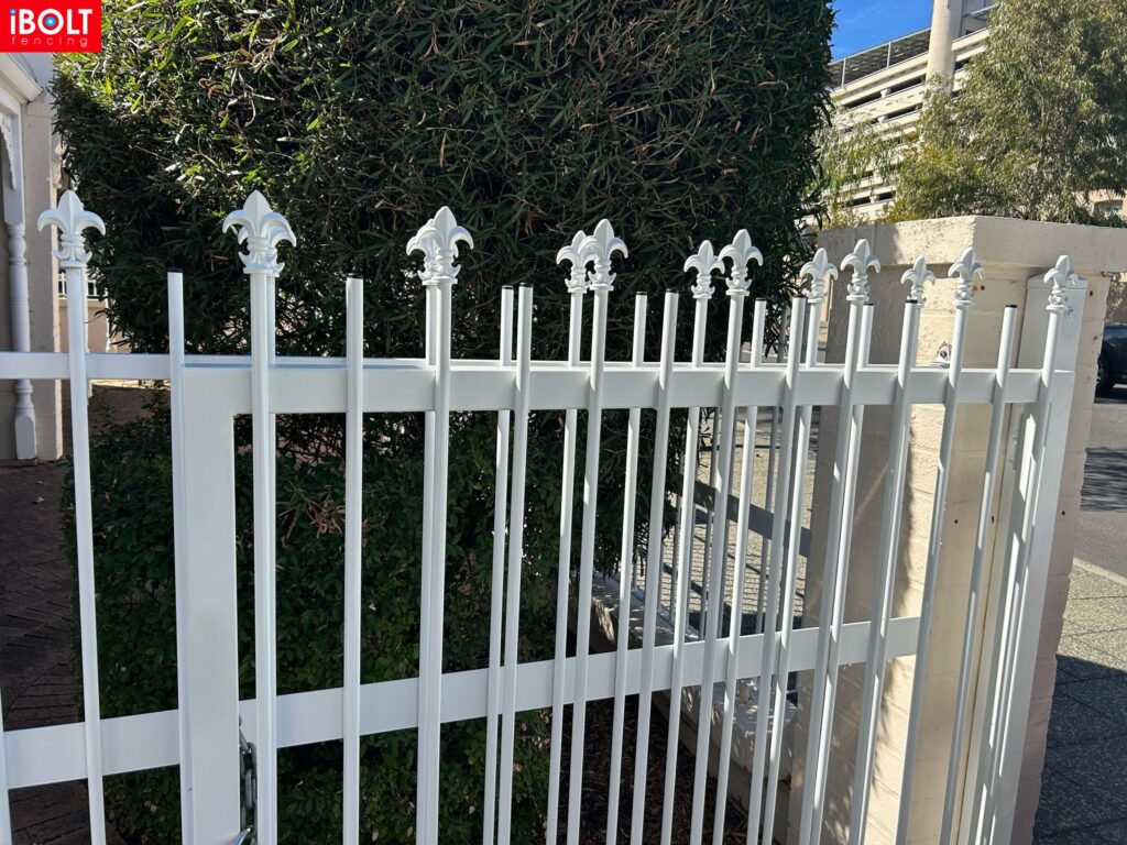 WhatsApp Image 2026 03 03 at 8.42.01 AM 2